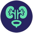 Urology